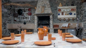 BARBACOA, CHIMENEA Y MENAJE